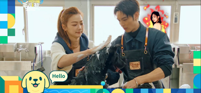 這隻哈士奇一點都不二哈！折騰瑤瑤弄濕身！《哈囉！毛小孩》精華片段 線上看