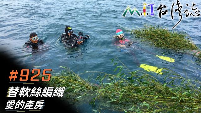 MIT台灣誌(EP.920-931) 線上看
