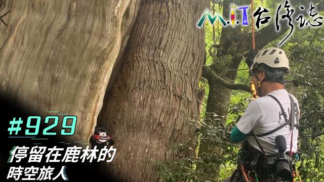 MIT台灣誌(EP.920-931) 線上看