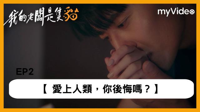 我的老闆是隻貓 第1集 線上看