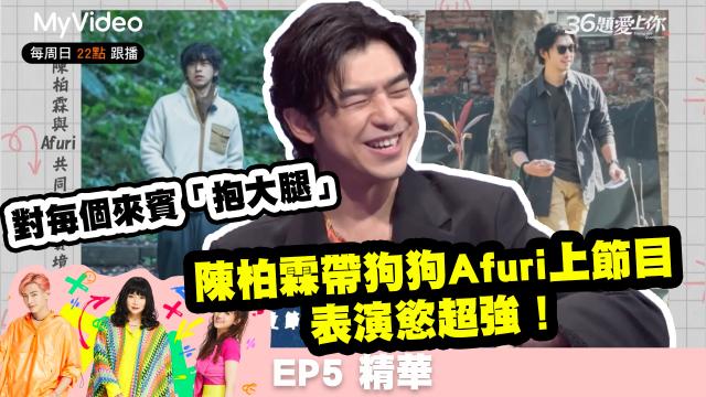 36題愛上你S3 【陳柏霖的狗Afuri對每個來賓「抱大腿」】