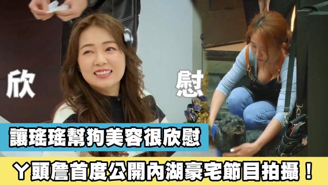 這隻哈士奇一點都不二哈！折騰瑤瑤弄濕身！《哈囉！毛小孩》精華片段 線上看