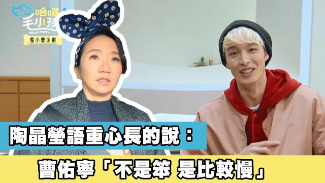 這隻哈士奇一點都不二哈！折騰瑤瑤弄濕身！《哈囉！毛小孩》精華片段 線上看