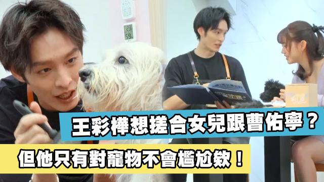 這隻哈士奇一點都不二哈！折騰瑤瑤弄濕身！《哈囉！毛小孩》精華片段 線上看