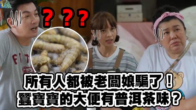 花甲少年趣旅行 第四季 線上看