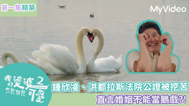 我的婆婆怎麼那麼可愛 第二季 線上看