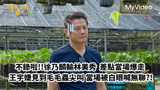 花甲少年趣旅行 第七季 線上看