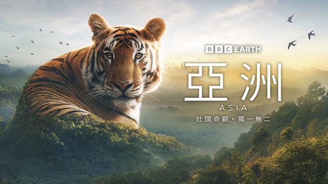 【BBC Earth】年度鉅獻《亞洲》台灣取景拍攝！BBC自然歷史部門負責人喬尼基林來台問候預告片 01