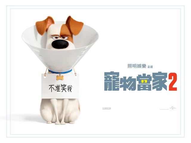 寵物當家2 數位珍藏版 線上看