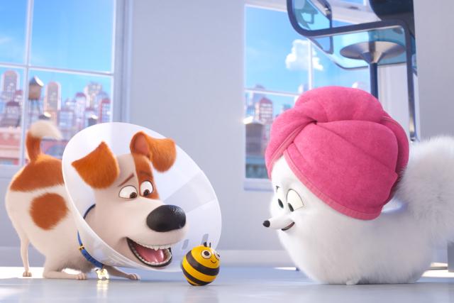 寵物當家2 數位珍藏版 線上看