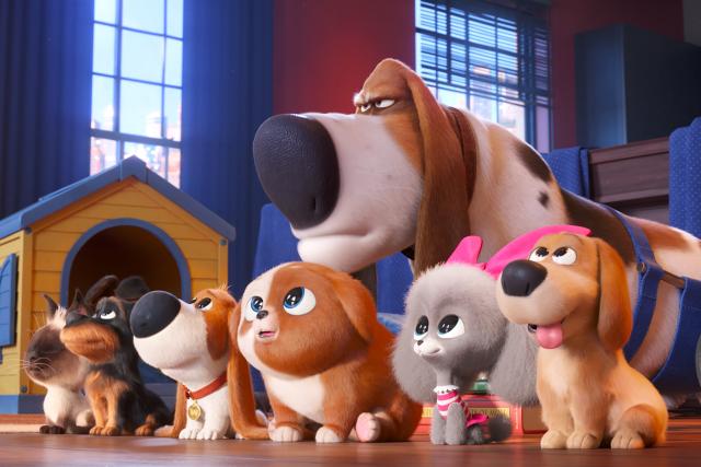 寵物當家2(HD)劇照 3