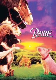 我不笨，我有話要說