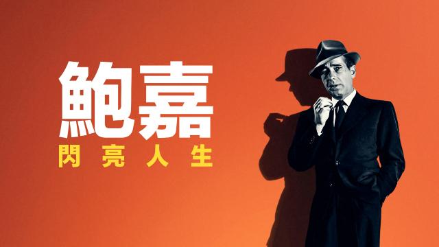 鮑嘉：閃亮人生劇照 1