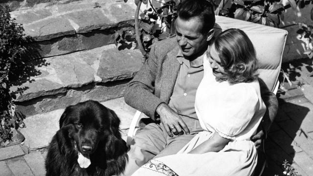 鮑嘉：閃亮人生劇照 4