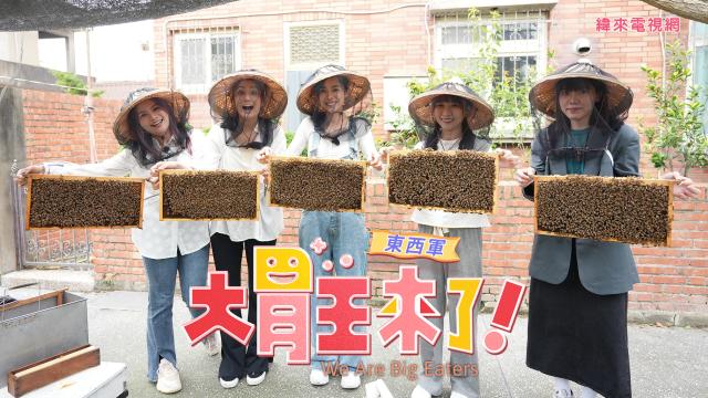 大胃王來了 第四季 線上看