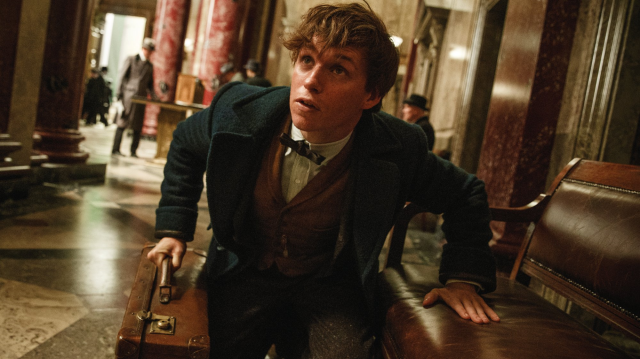 怪獸與牠們的產地劇照 2