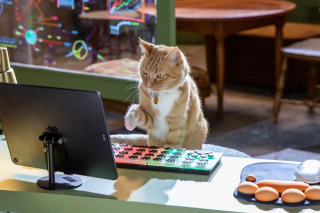 貓狗大戰3：爪爪集結！劇照 6