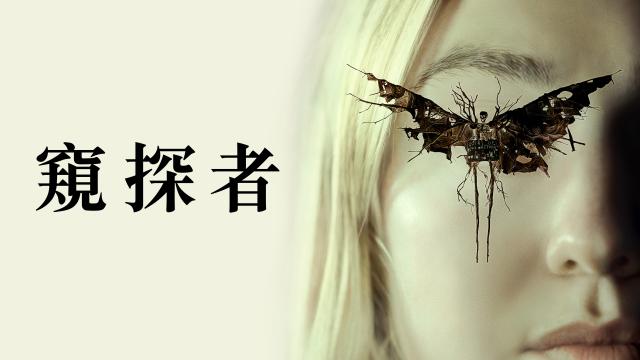 窺探者