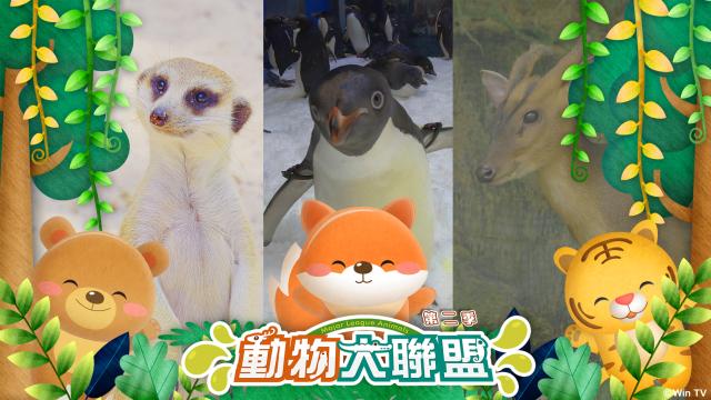 動物大聯盟劇照 1